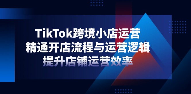 （14369期）TikTok跨境小店运营，精通开店流程与运营逻辑，提升店铺运营效率