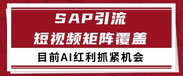小红书某音sap赛道引流获客 自热矩阵日引200+