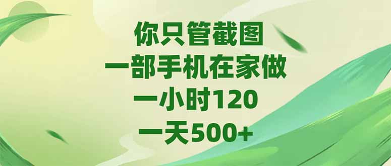 （15039期）你只管截图，一部手机在家做，一小时120，-天500+