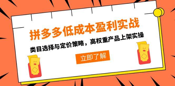 （15143期）拼多多低成本盈利实战，类目选择与定价策略，高权重产品上架实操