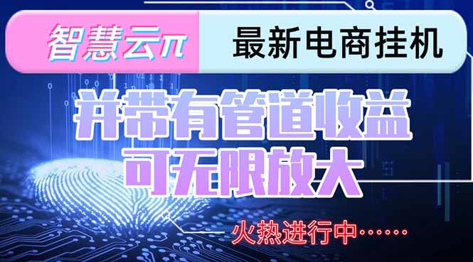 （15314期）智慧云π电脑挂机单机每天收益300—500+ 并带有团队管道收益 可无限放大