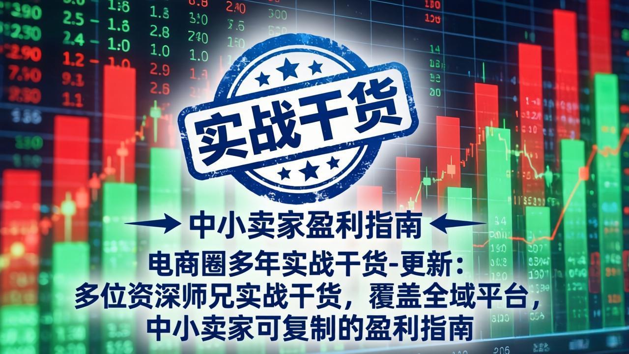 (19447期)电商圈多年实战干货-更新2026:多位资深师兄实战干货/覆盖全域平台,中小卖家可复制的盈利指南