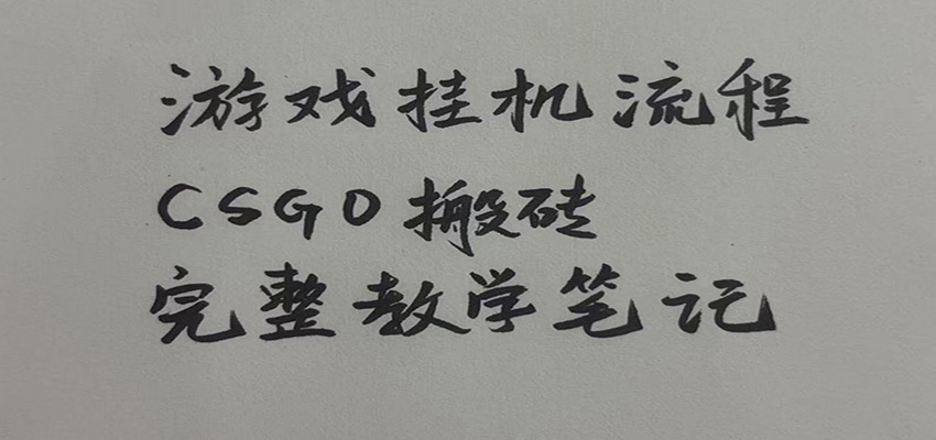 游戏挂机全流程笔记分享,CSGO游戏搬砖,小白看了当天学会见收益